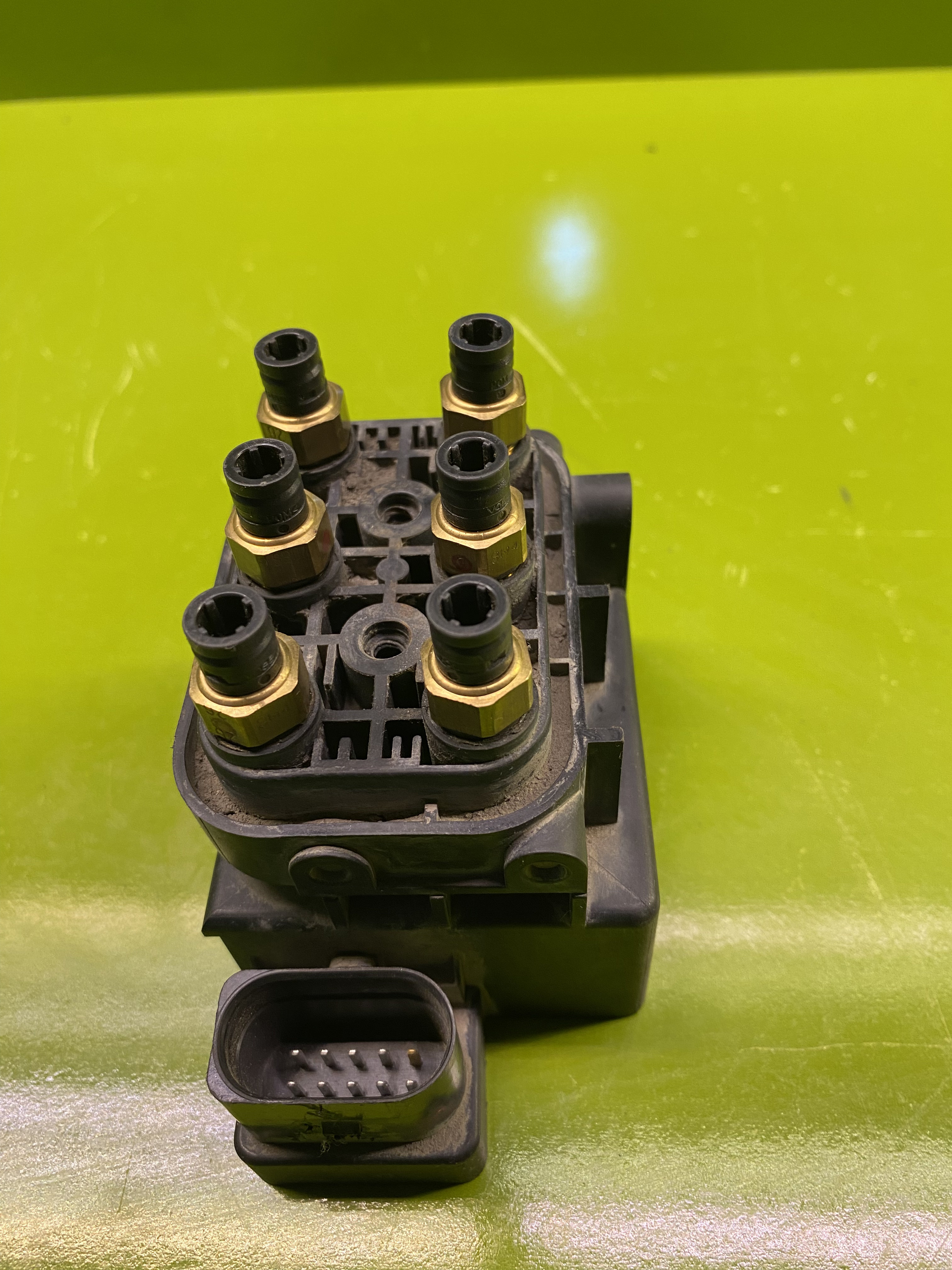 شیر تقسیم جنسیس