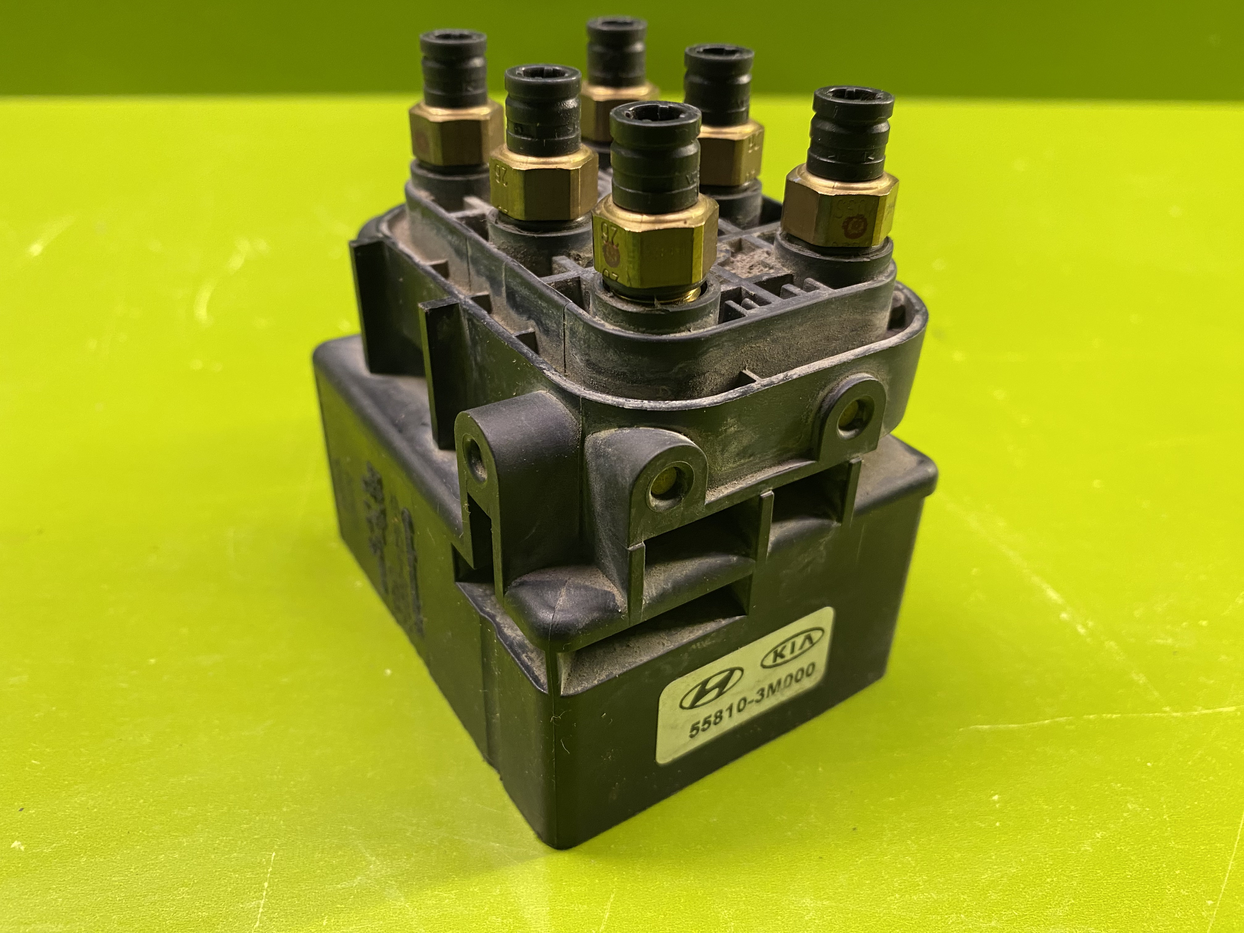 شیر تقسیم جنسیس