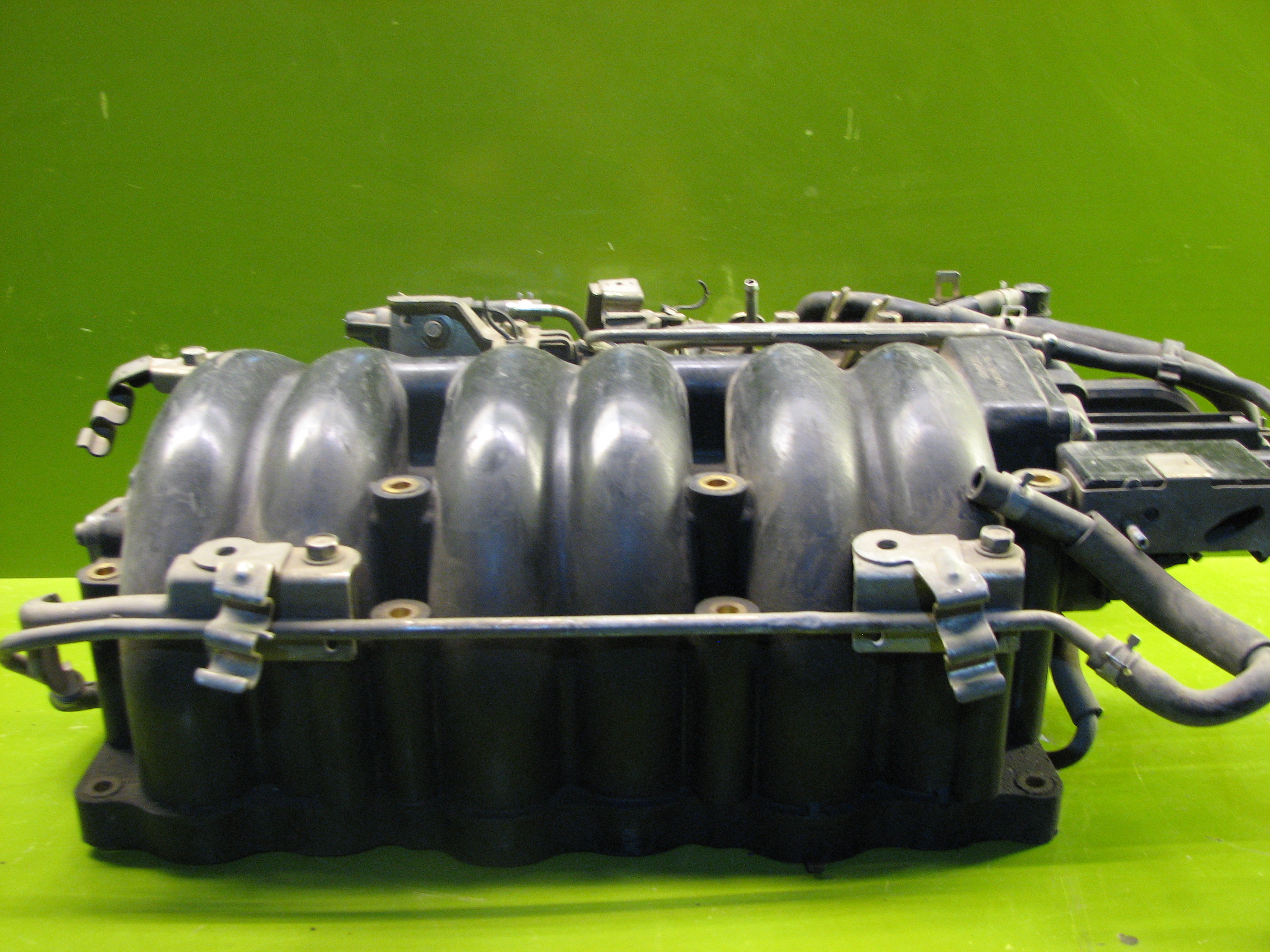 منیفولد ماکسیما - N1