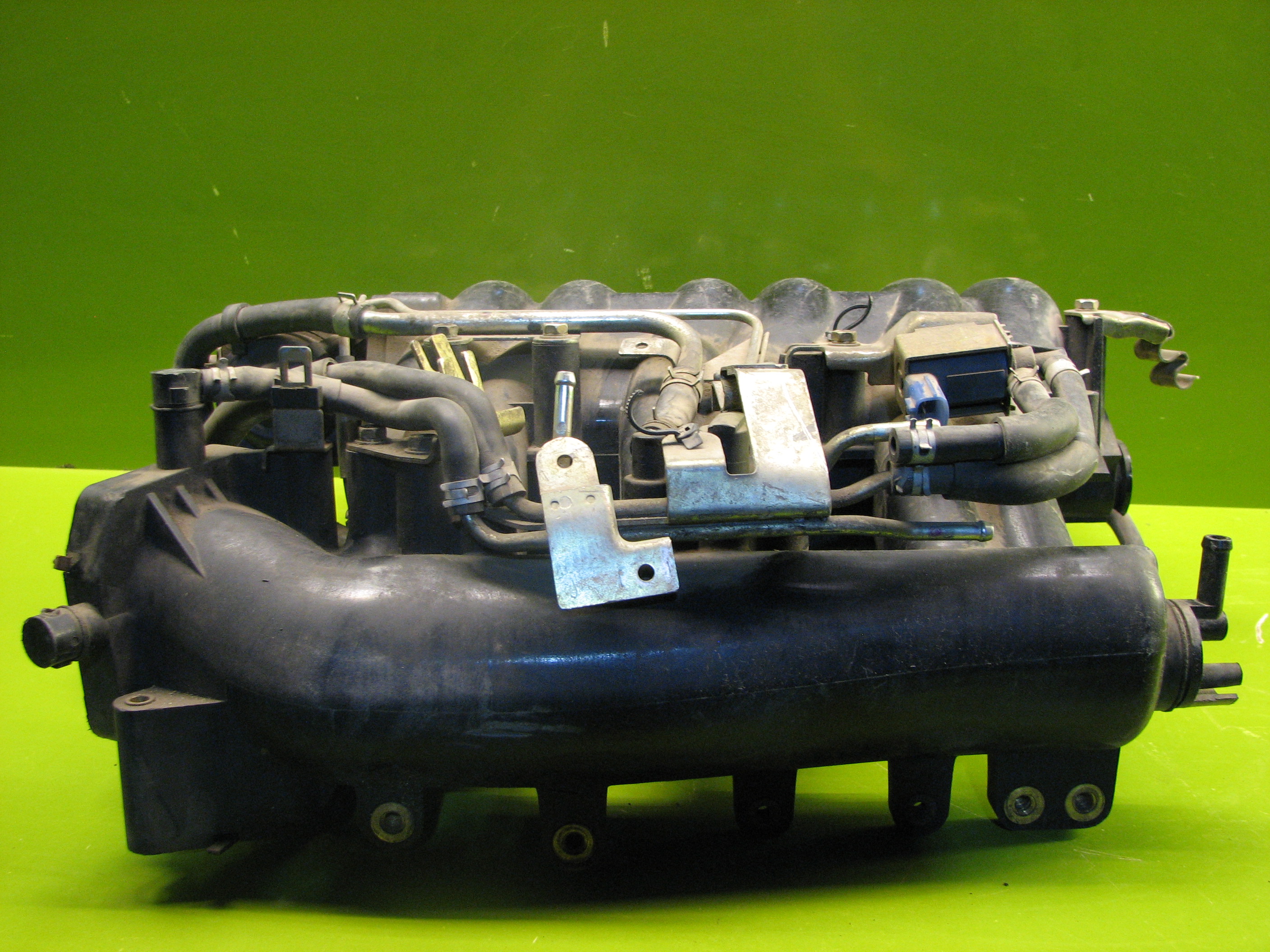 منیفولد ماکسیما - N1