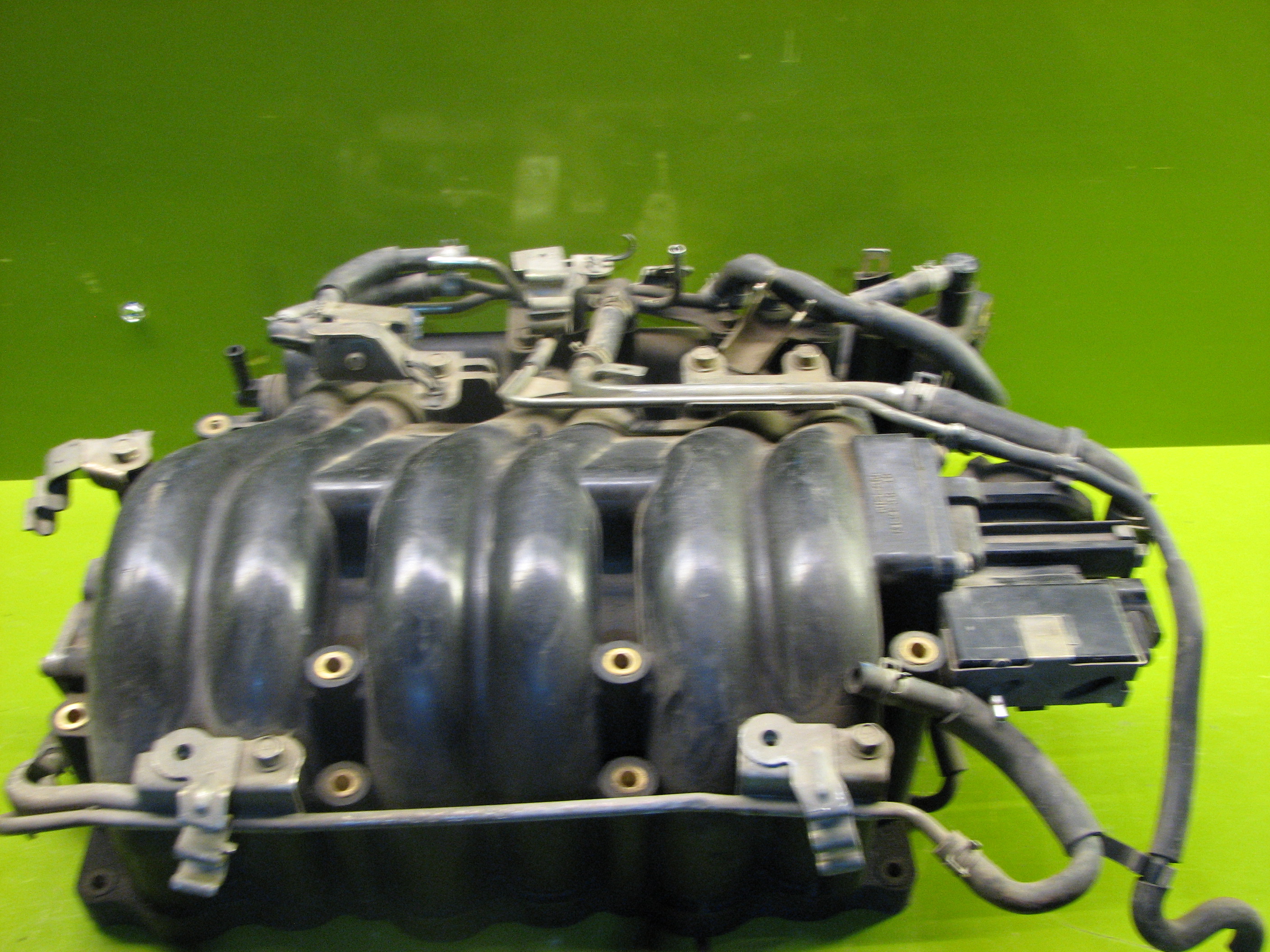 منیفولد ماکسیما - N1