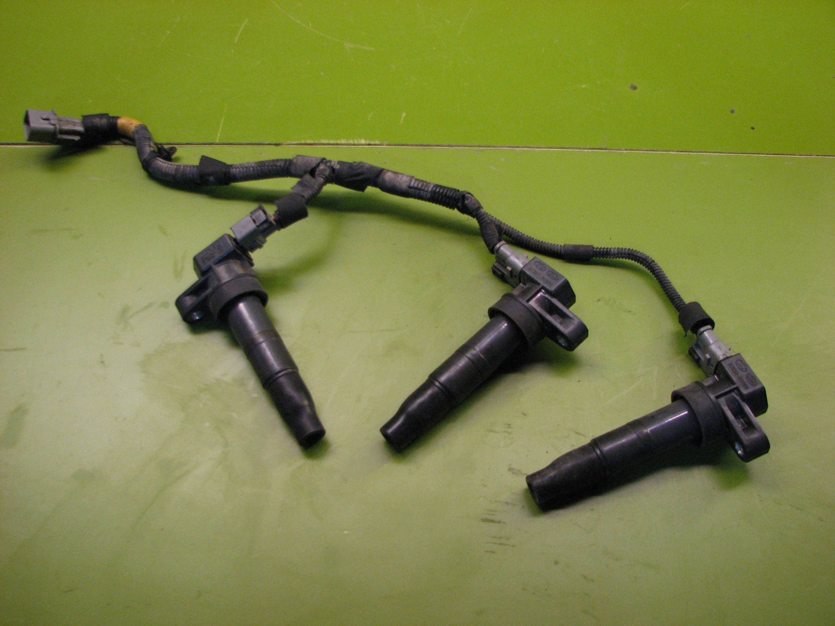 کویل سوناتا 