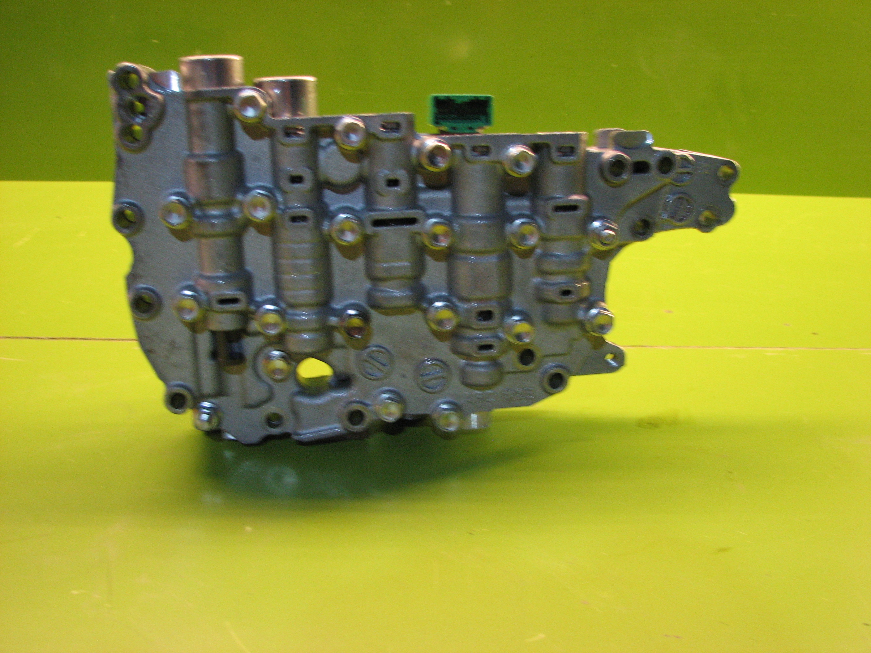 ساعتی  کولئوس