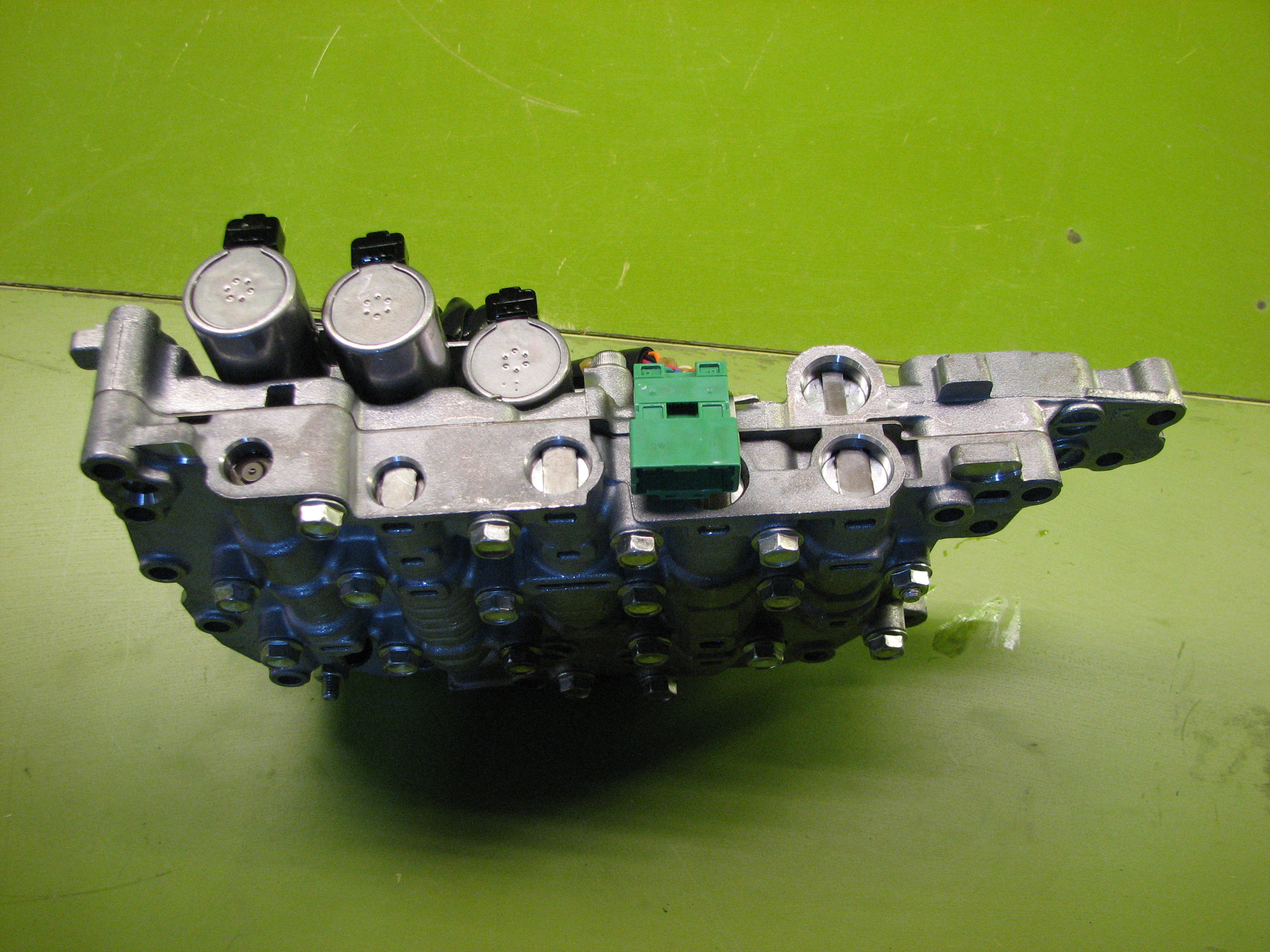 ساعتی  کولئوس