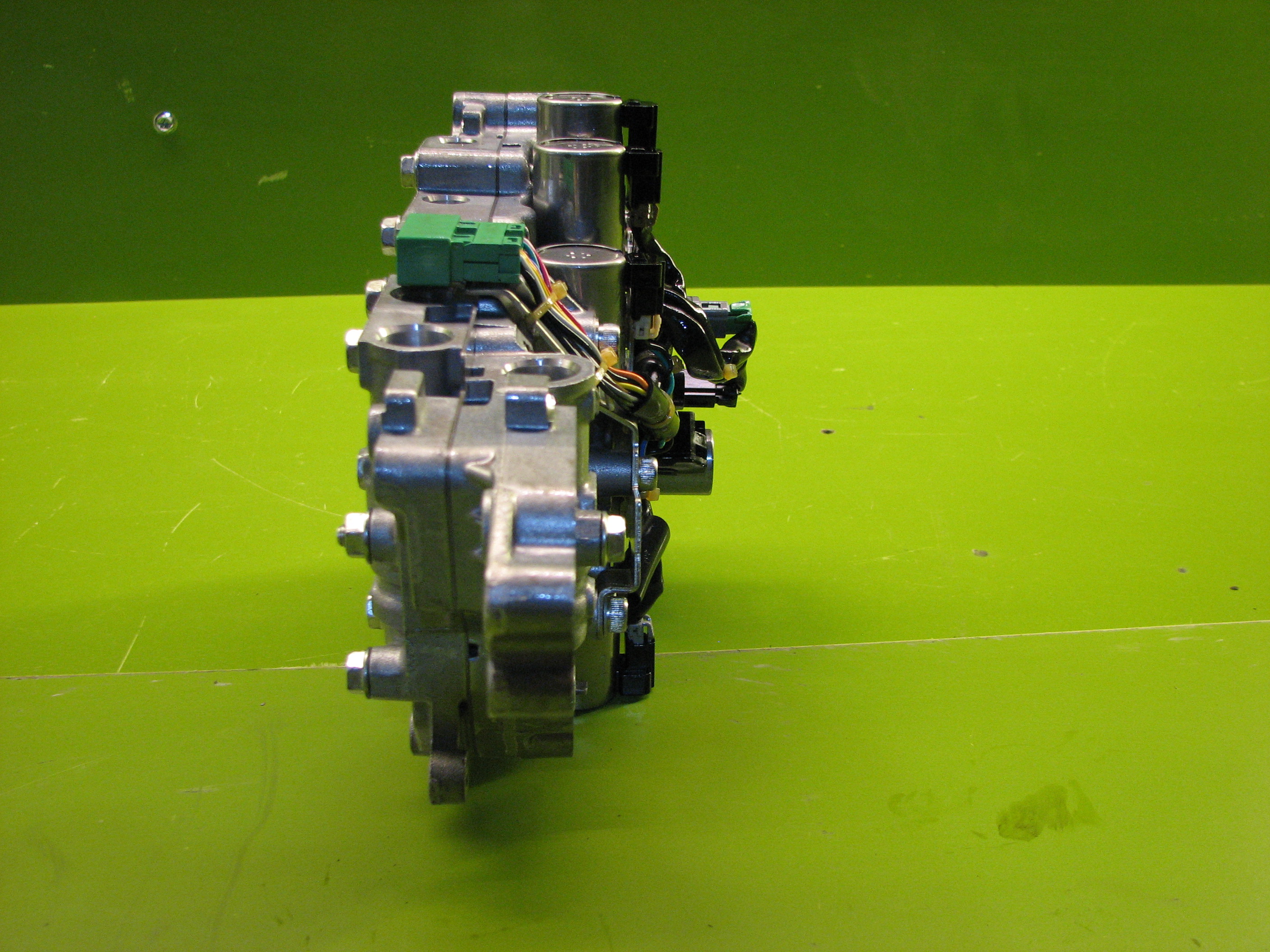 ساعتی  کولئوس