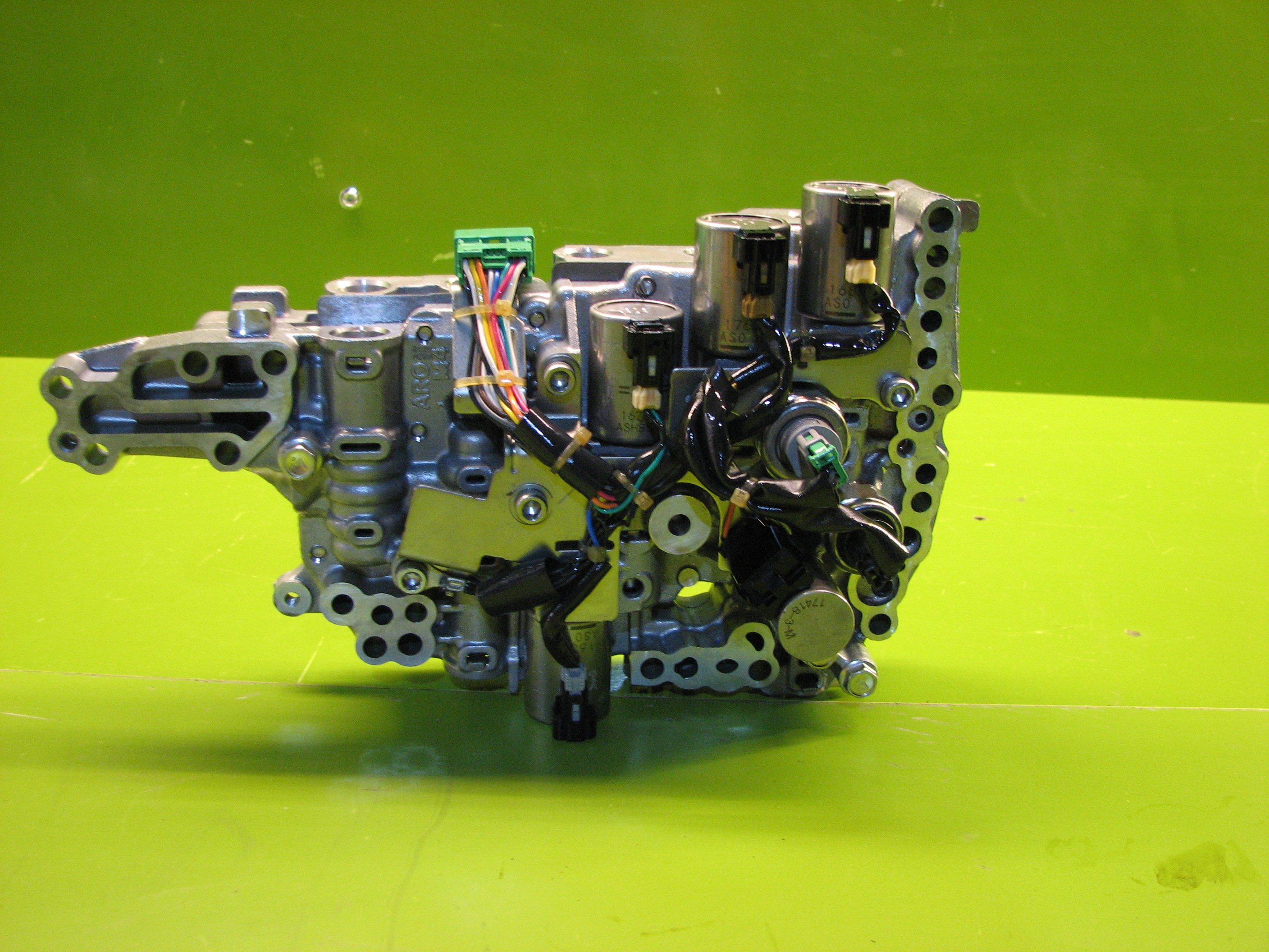 ساعتی  کولئوس