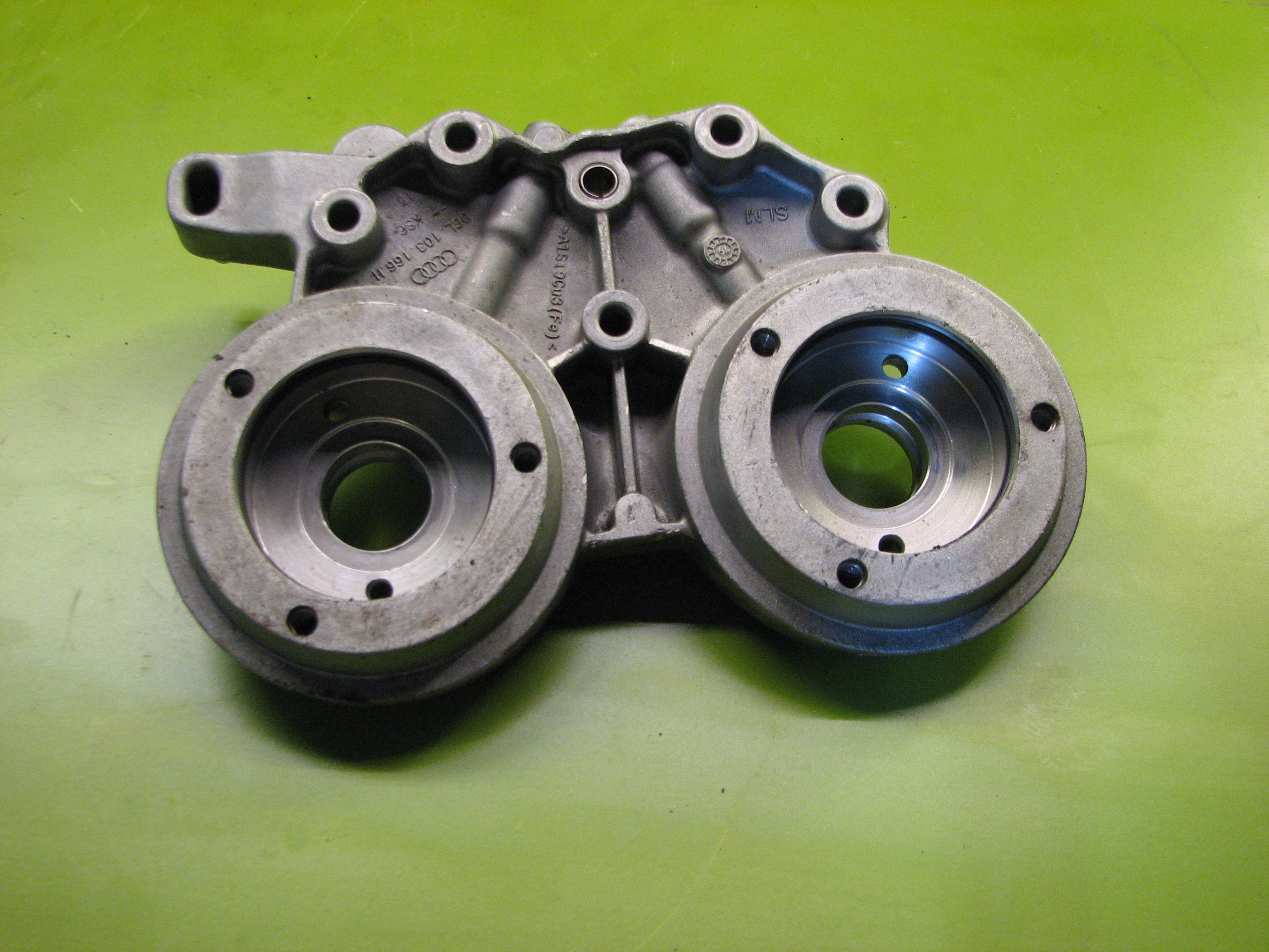 پل میل بادامک تیگوان