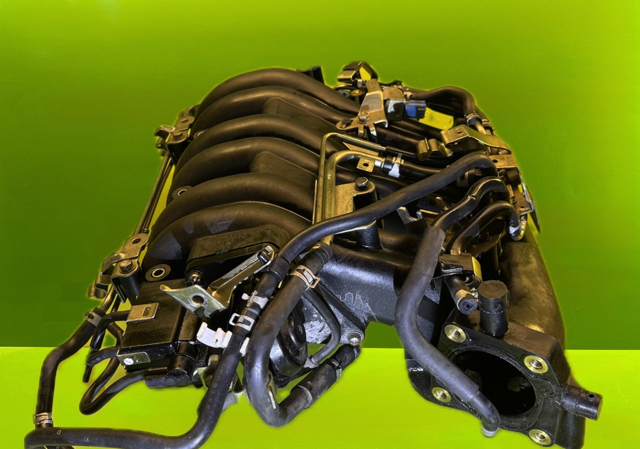 منیفولد ماکسیما - N2