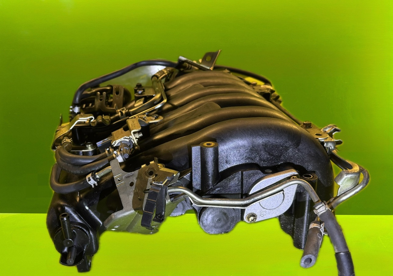 منیفولد ماکسیما - N2