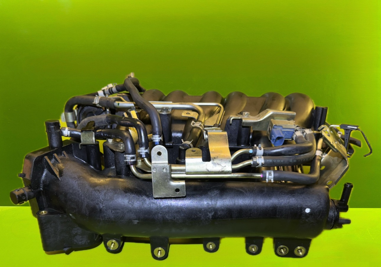 منیفولد ماکسیما - N2