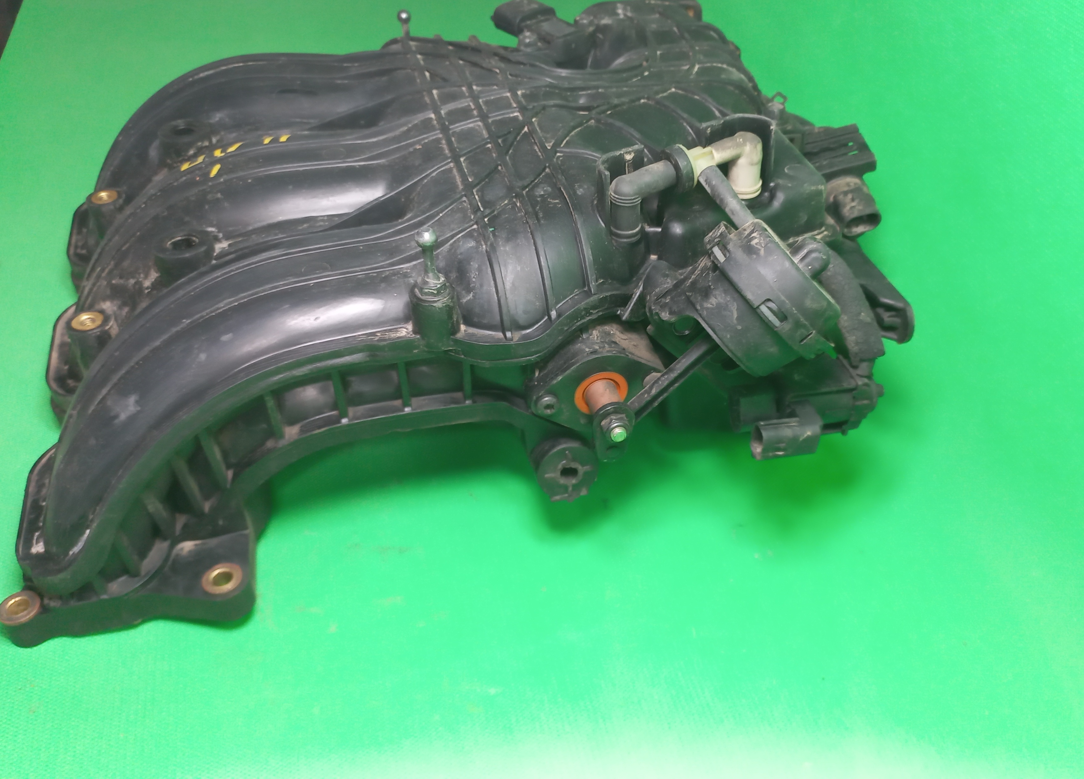 منیفولد جنسیس