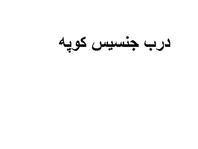 درب خودرو  جنسیس 2010 کوپه جلو چپ